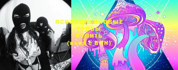 индика Нефтегорск